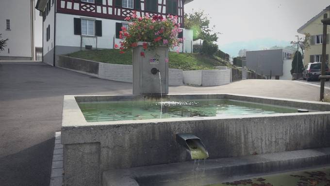 Toter Mann in Brunnen identifiziert