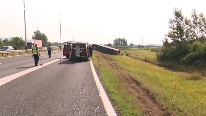 Zehn Tote bei Busunfall - Fahrer eingeschlafen
