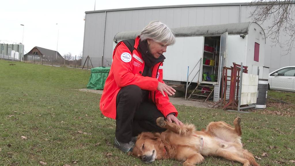 «Retter lagen sich in den Armen»: Nidwaldnerin rettete mit Hund Sam Verschüttete