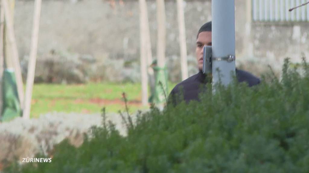 Ex-FCZ-Spieler Daniel Denoon steht in Bülach vor Gericht