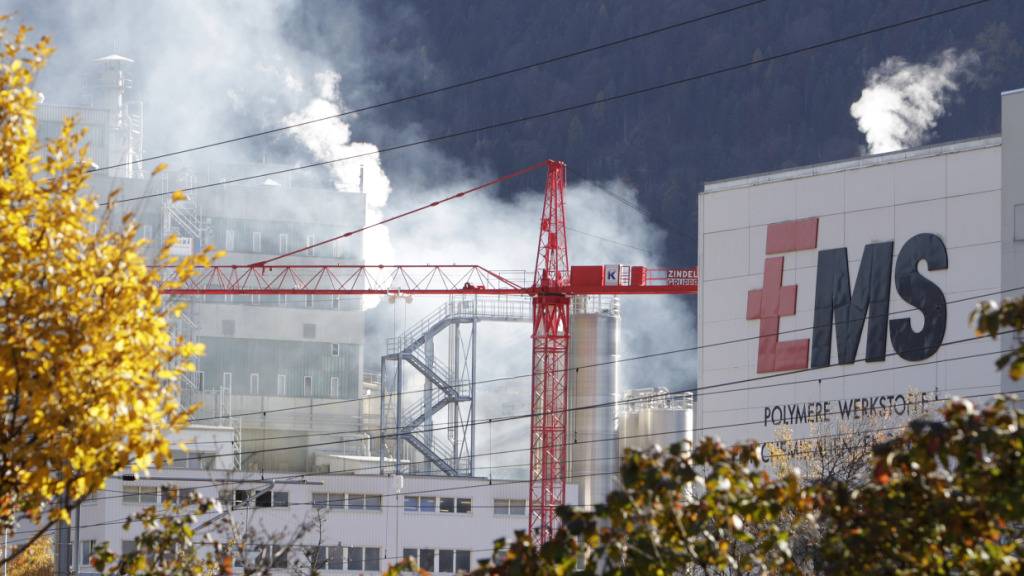 Die Ems-Chemie hat die Schwäche des Automobilsektors im Jahresverlauf zu spüren bekommen. (Archivbild)