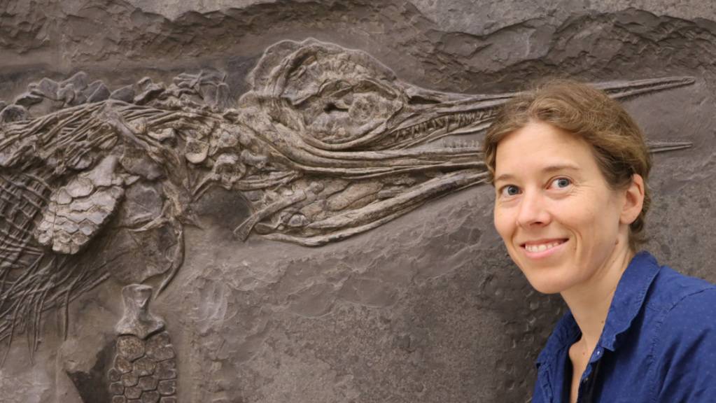 Die Paläontologin Dr. Erin Maxwell vom Staatlichen Museum für Naturkunde in Stuttgart und der Hauffiopteryx typicus, beide lächelnd. Der Fischsaurier war zwar schon bekannt, war aber falsch klassifiziert worden. (Pressebild)