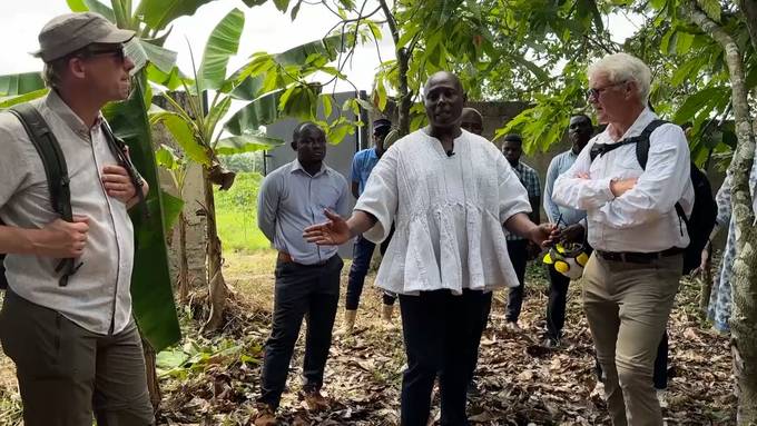 Ein schweiz-ghanaischer Geschäftsmann versorgt die Schweiz mit Bio-Kakao