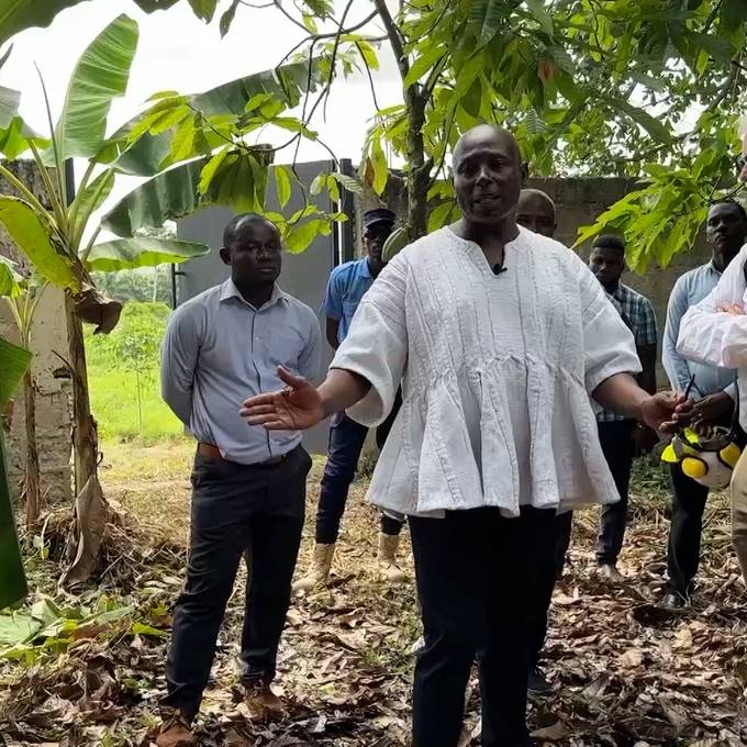 Ein schweiz-ghanaischer Geschäftsmann versorgt die Schweiz mit Bio-Kakao