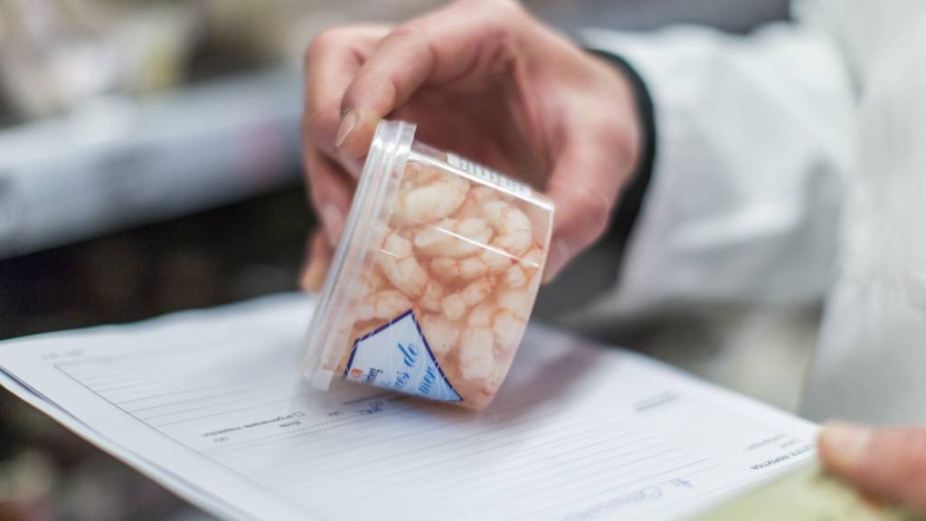 Kontrolleure des St. Galler Amtes für Verbraucherschutz und Veterinärwesens entdeckten in einem Lebensmittelgeschäft im Linthgebiet abgelaufene Lebensmittel. (Symbolbild)