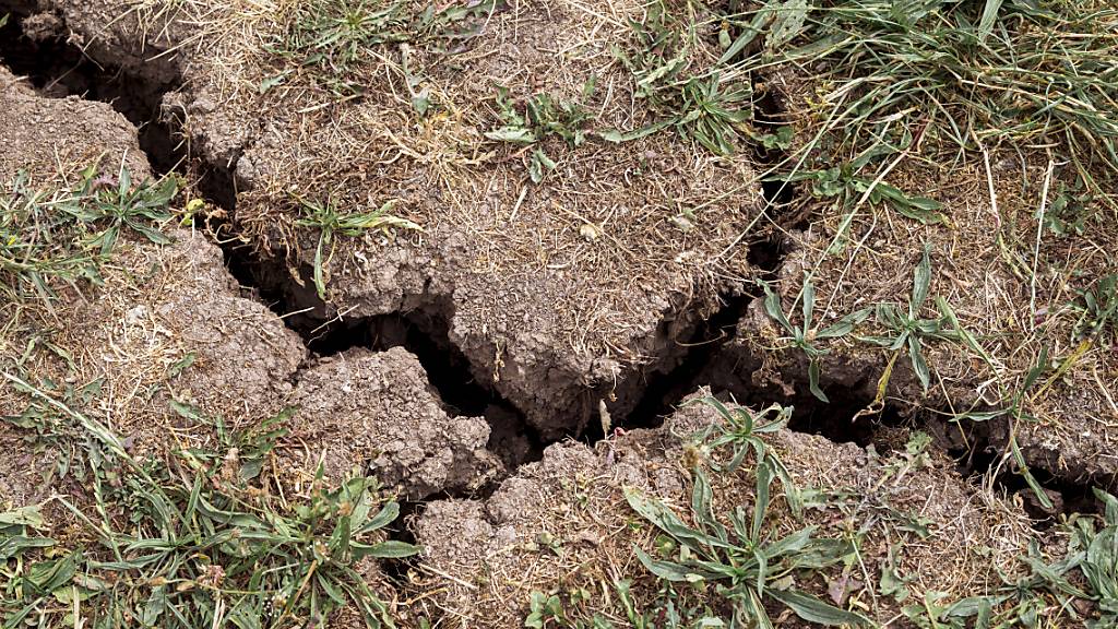 Die Organisation Finance Watch warnt vor der Unterschätzung der Auswirkungen des Klimawandels auf die Wirtschaft und das Finanzsystem. Wirtschaftswissenschaftler modellierten das Klimarisiko auf die gleiche Weise wie das traditionelle Finanzrisiko. (Symbolbild)