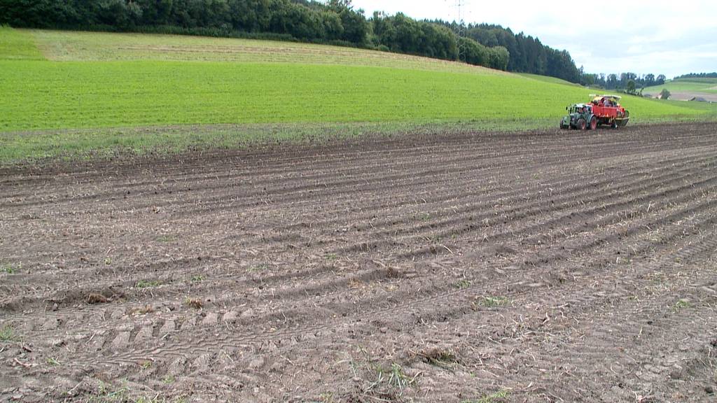 Gegner der Trinkwasser- und Pestizidinitiativen lancieren Abstimmungskampf