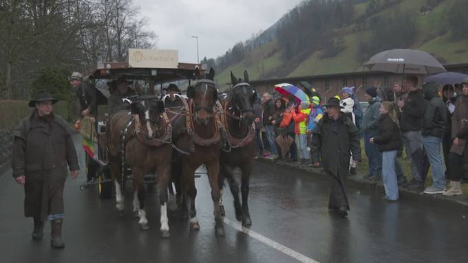 Negus-Gesellschaft Seewen feiert 90-Jahre-Jubiläum mit grossem Umzug