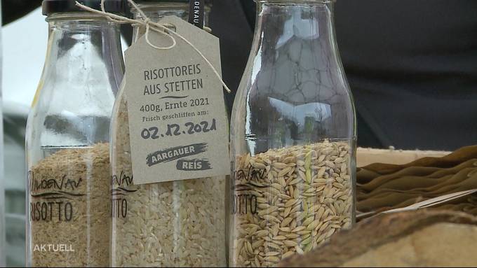 Ab jetzt wird Reis aus dem Aargau verkauft