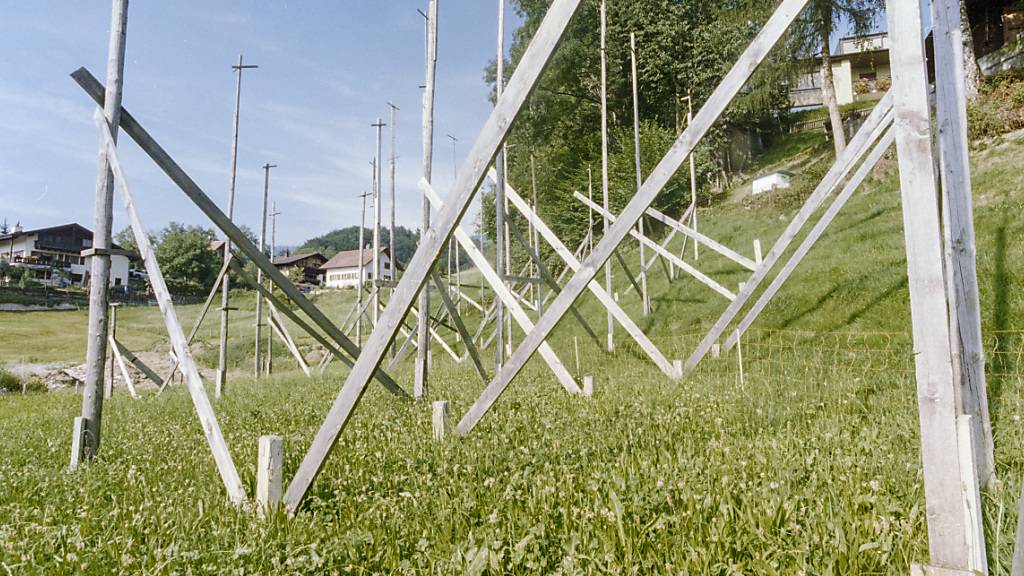 Bundesrat will Verbandsbeschwerderecht bei Wohnbauten einschränken