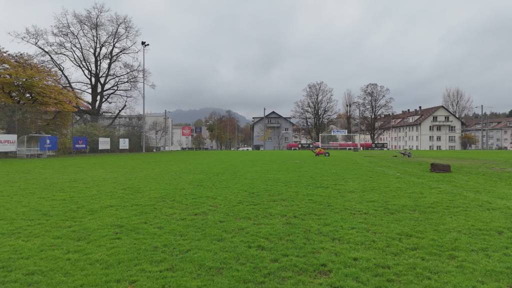 Mehr Rasenkapazität in Bern