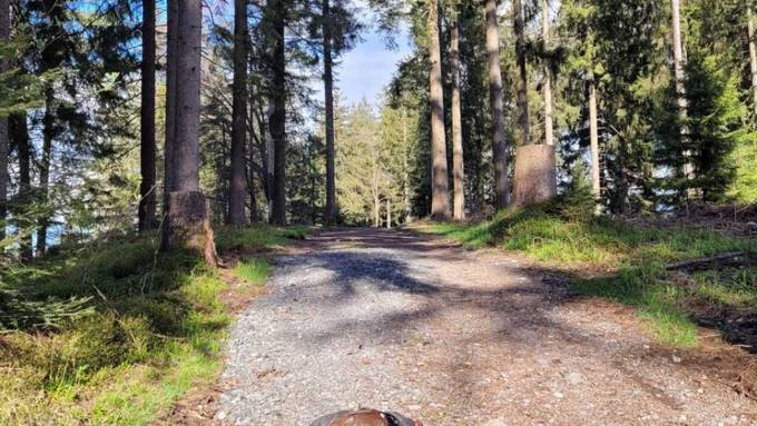 Genickbruch bei Auerhahn in Oberägeri: Kanton reicht Anzeige ein