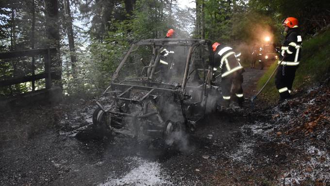 Quad brennt komplett aus