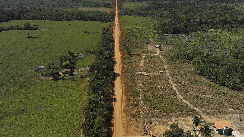 Abholzung im Amazonas fördert die Ausbreitung von Malaria.