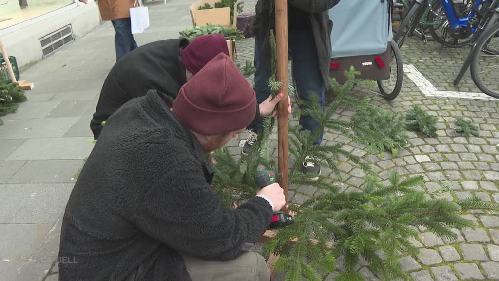 Nachhaltige Weihnachtsbäume: Echte Äste ohne Baum zu fällen