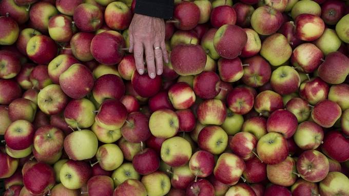 Apfel, du geile Frucht!