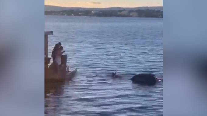 Tesla stürzt in eisigen Fjord: Schwimmende Sauna rettet Insassen