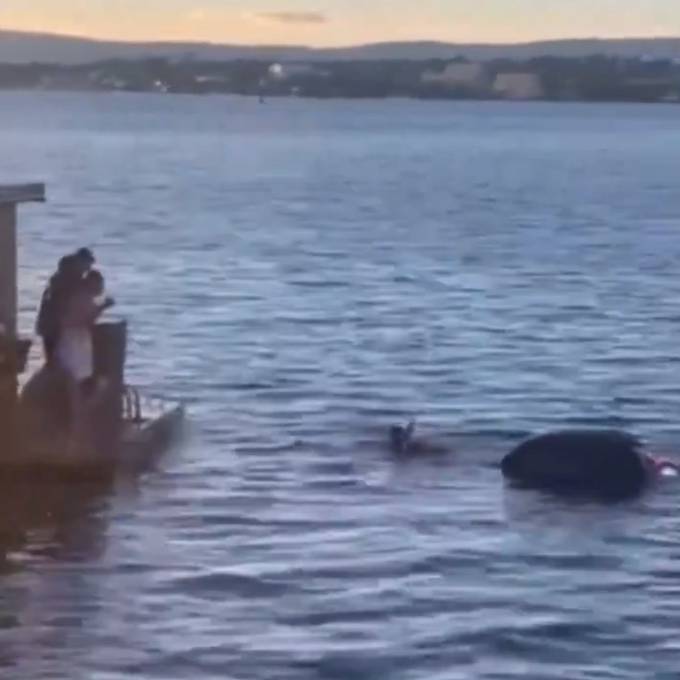 Tesla stürzt in eisigen Fjord: Schwimmende Sauna rettet Insassen
