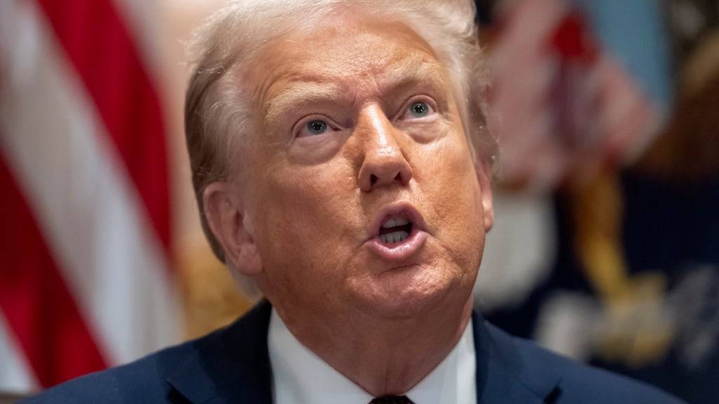 ARCHIV - US-Präsident Donald Trump spricht während einer Kabinettssitzung im Weißen Haus. Foto: Mark Schiefelbein/AP/dpa (Archivbild)
