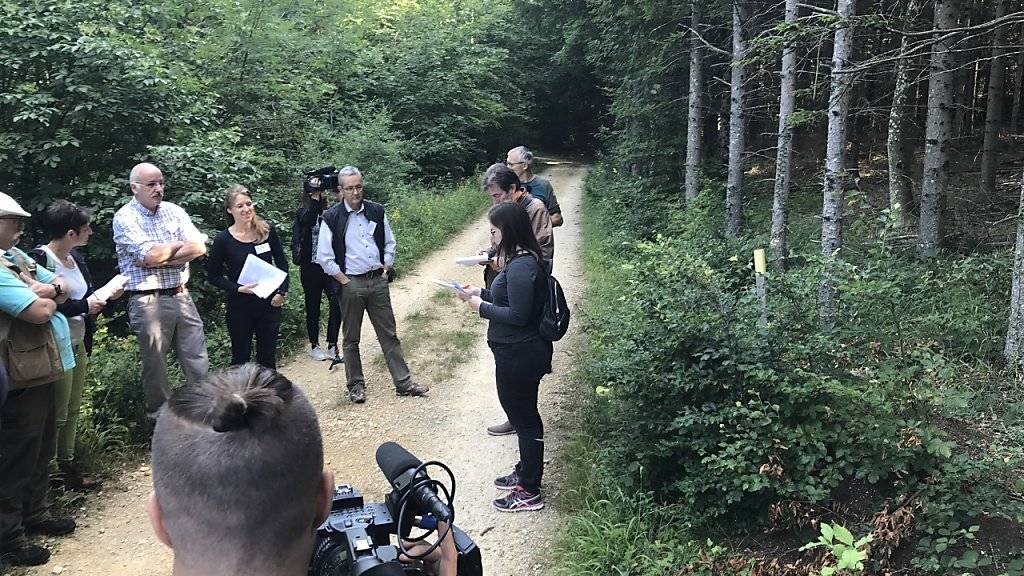 Projektleiterin Isabelle Glanzmann (oben, mit Unterlagen) erläutert vor Medien im Gelterkinder Wald den Nutzen der Ameisen und derer Inventarisierung. Rechts mit gelbem Pfosten markiert ist ein kleiner Ameisenhaufen unter einem Jungbaum.
