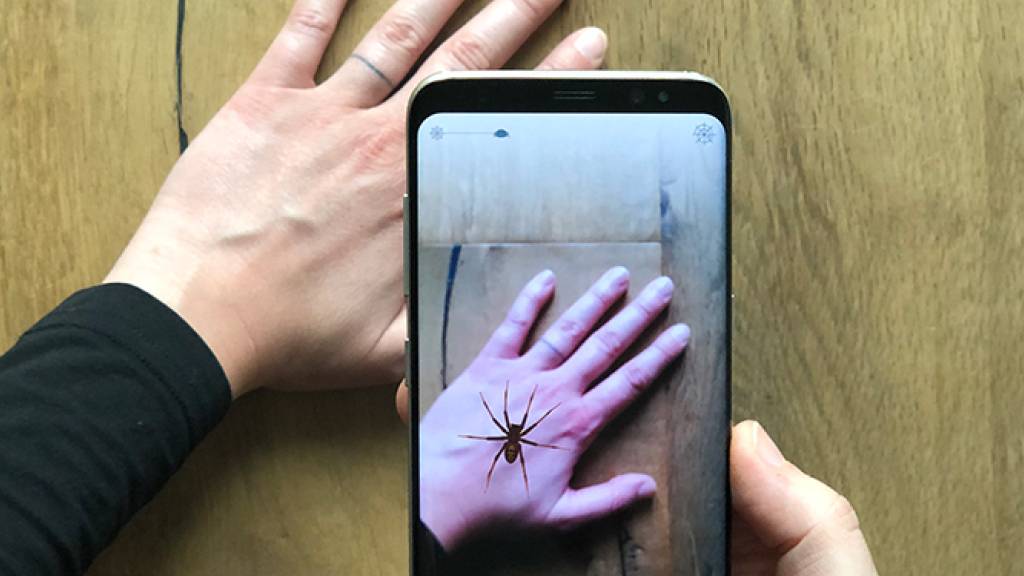 Eine Augmented-Reality-App nimmt den Spinnen ihren Schrecken 