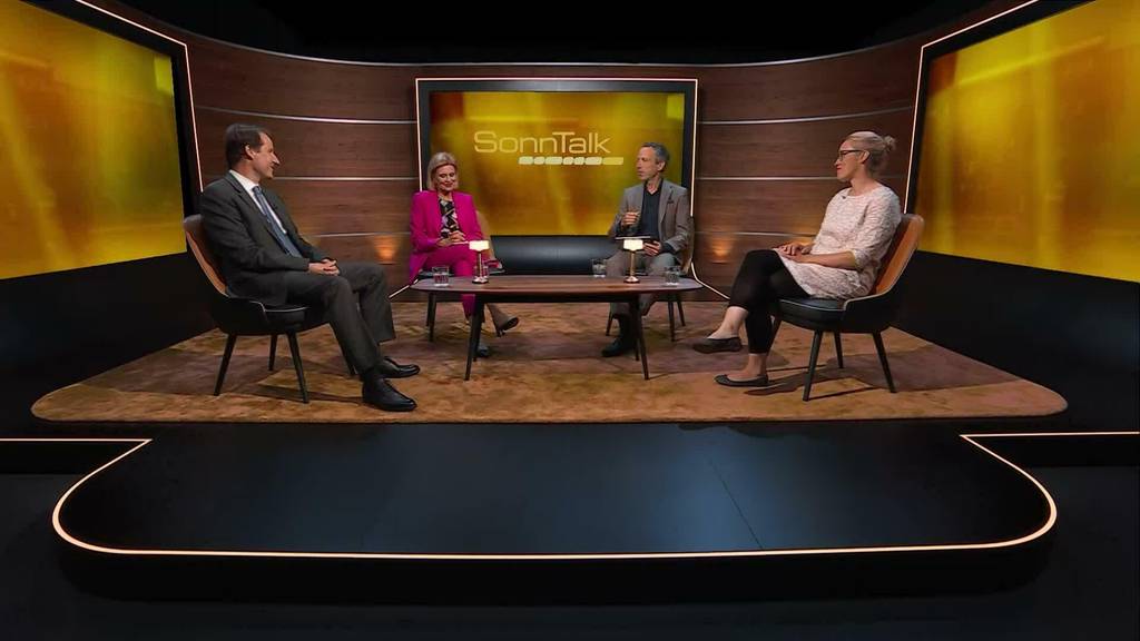 Waldkauf der Post, Kita-Initiative, Wahl-Countdown: Die Themen im SonnTalk
