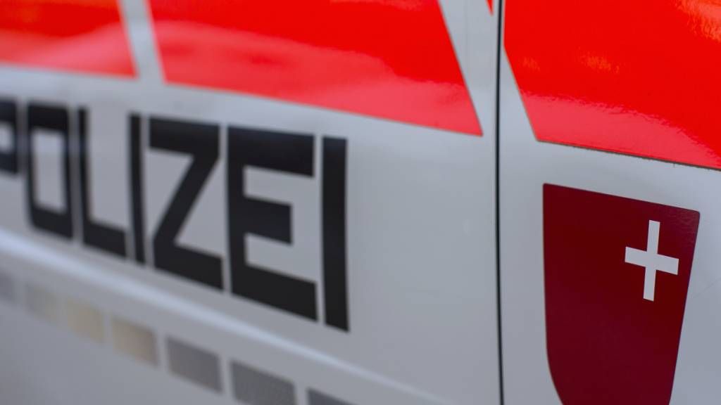 Drei mutmassliche Einbrecher in Freienbach SZ festgenommen