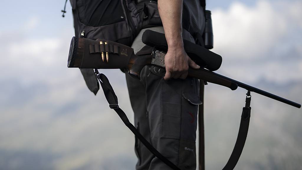 Ein Bündner Jäger auf der Pirsch während der Hochjagd diesen September. Erstmals wurden speziell lizenzierte Jägerinnen und Jäger dabei für die Regulation der Wolfsrudel beigezogen und durften in bestimmten Regionen auf die Grossraubtiere anlegen. (Archivbild)