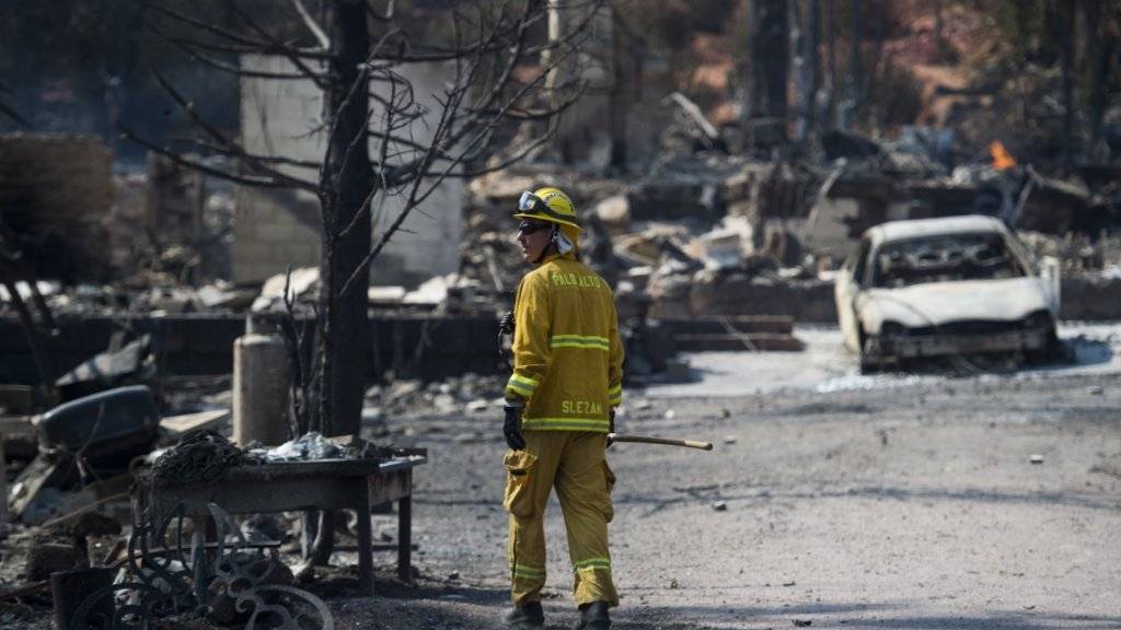 In Kalifornien wüten Wald- und Buschbrände: Ein Feuerwehrmann inspiziert den Schaden nach dem Durchzug der Flammenwalze.
