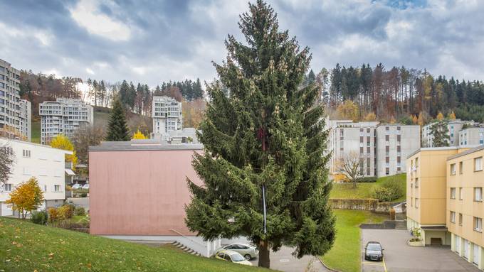 Christbaum kommt frühestens am Dienstag