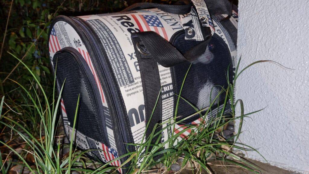 In dieser auffälligen Tasche wurden am Dienstag in Winterthur Töss zwei Katzen ausgesetzt.