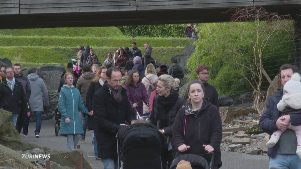 Zoo Zürich mit Besucher-Boom wegen Frühlingstemperaturen