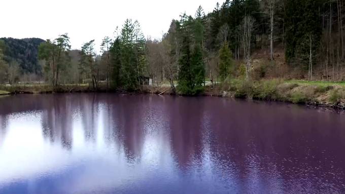 Naturspektakel in Bayern: See färbt sich lila