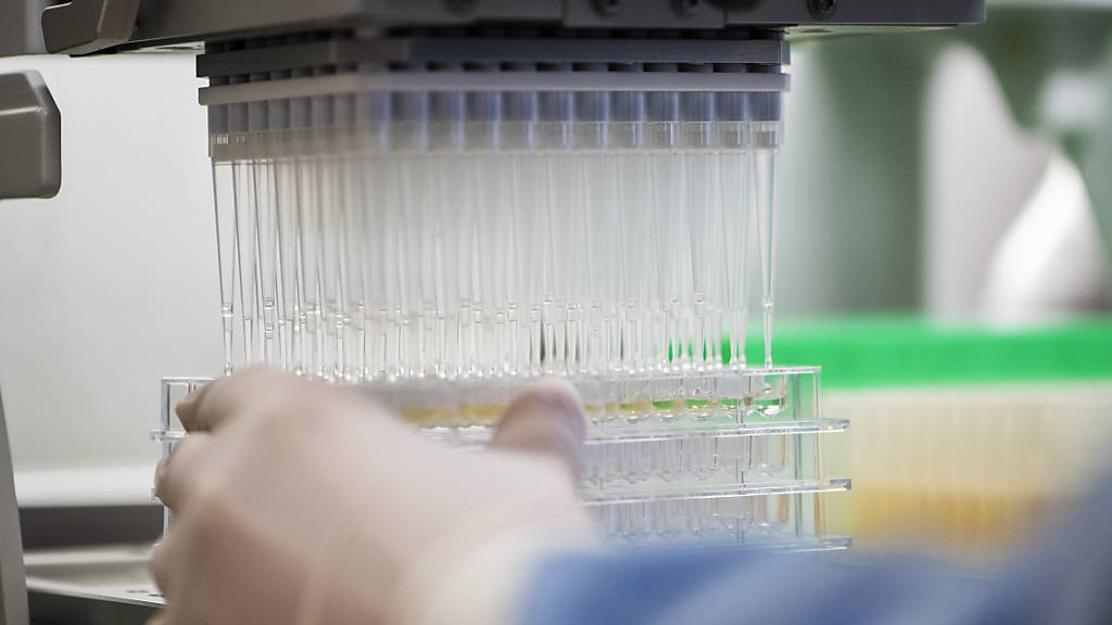 Eine von Forschenden des Pharmakonzerns Roche entwickelte neue Klasse von Antibiotika zeigte in ersten Tests vielversprechende Resultate gegen ein antibiotikaresistentes Bakterium.