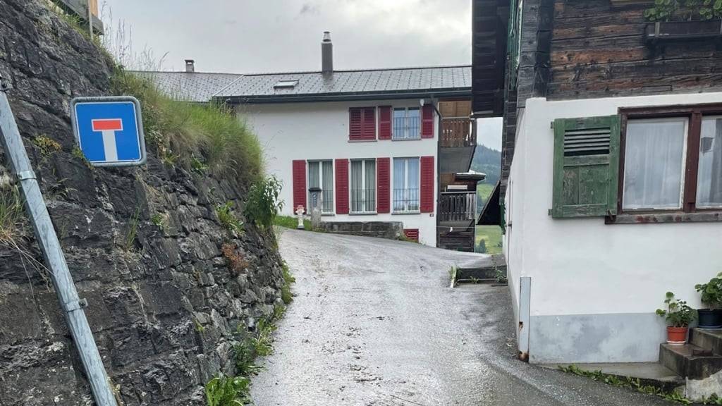 Eine 91-jährige Frau kam in Graubünden zu Fall, als sie die Viehherde durch eine Strassenverengung treiben wollte.