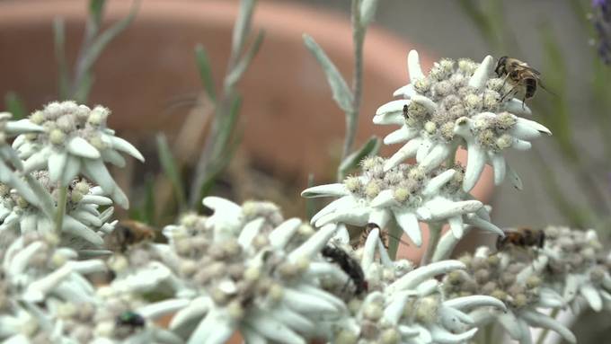 Menschen in der Ostschweiz: Morgen startet die neue Staffel