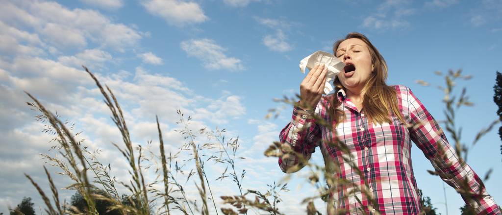 Pollen plagen Allergikerinnen und Allergiker fast pausenlos
