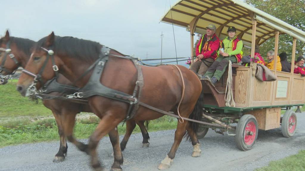 Geschick, Geduld und Teamwork: Fahrsport-Turnier in Kriessern