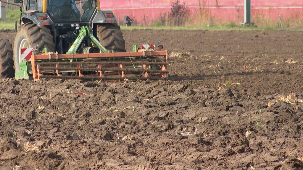 Bauer ackert Feld um – Pferderennen in Fehraltorf steht vor dem Aus