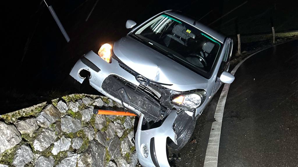 25-Jähriger verliert Kontrolle über Auto und landet auf Mauer
