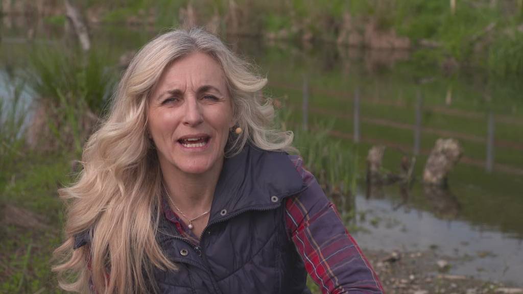 Vorschau Sendung Tierisch