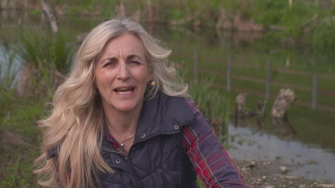 Vorschau Sendung Tierisch