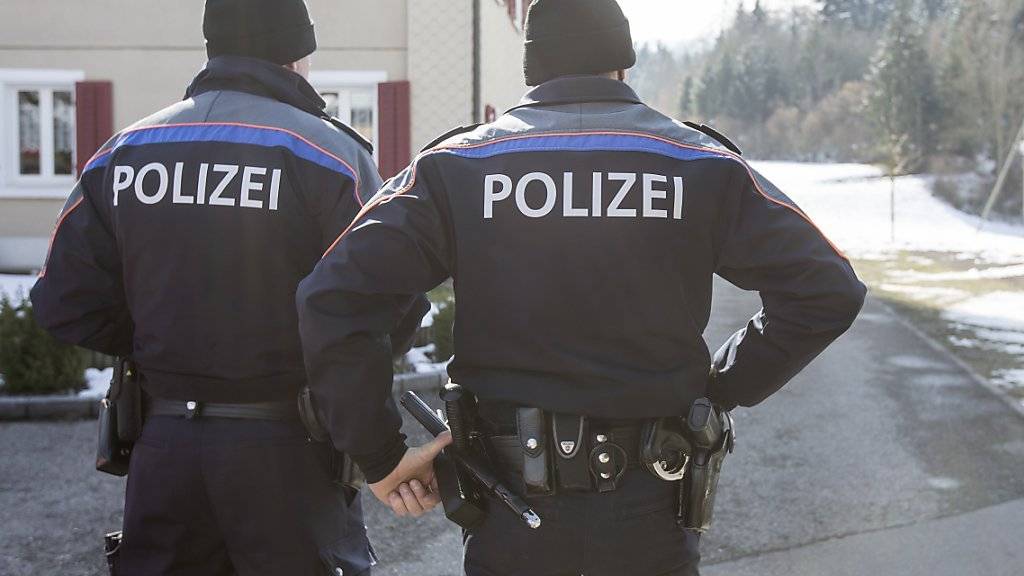 Der Einsatz der Luzerner Polizei in Malters vom vergangenen März dauerte über 17 Stunden.