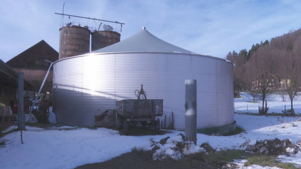 Verärgerte Bauern wegen falschen Luzerner Ammoniak-Zahlen