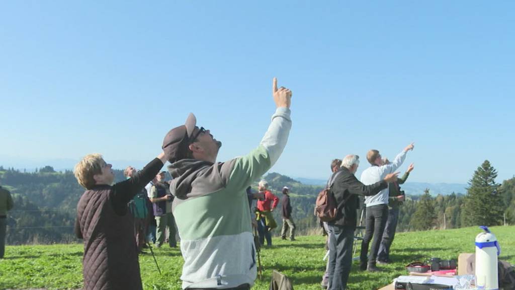 Vogelfans bestaunen im Emmental rund 50 Arten beim Flug in den Süden