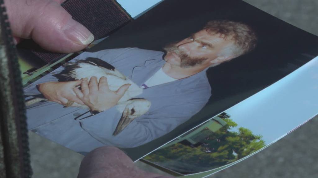 Storchenvater sucht Nachfolge