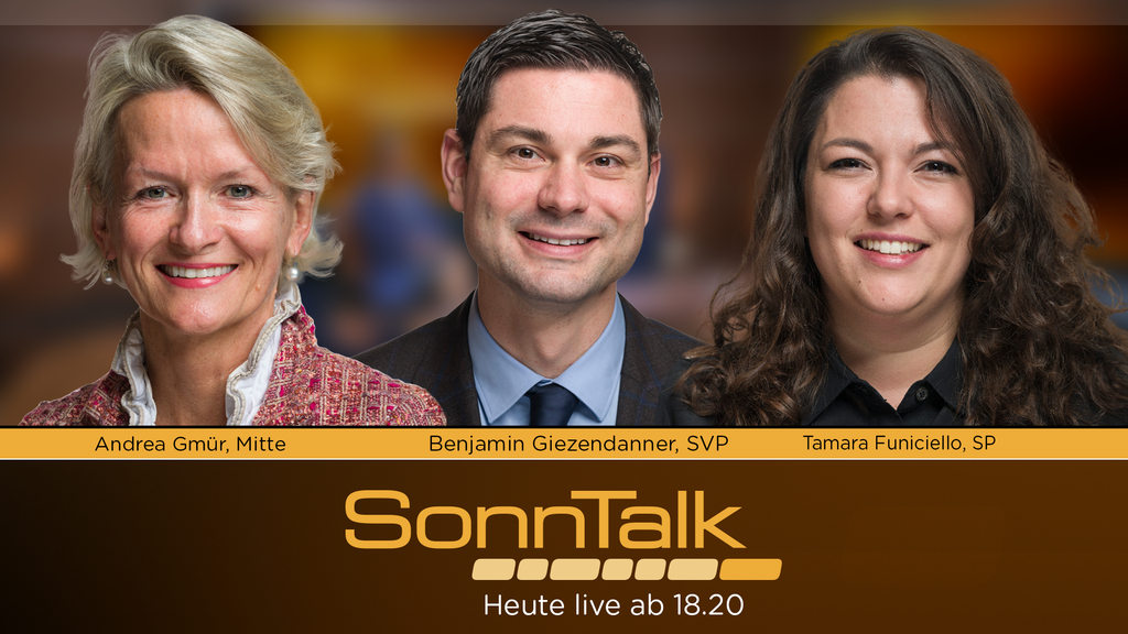 Mehrheit der Parteien für EU-Verträge, Massnahmen gegen «Gewaltextremismus» und Aufnahme verletzter Kinder aus Gaza