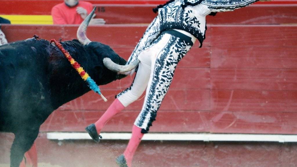 Enrique Ponce wurde zunächst von dem Stier am Gesäss aufgespiesst und fiel dann so unglücklich, dass er sich das linke Bein verdrehte.