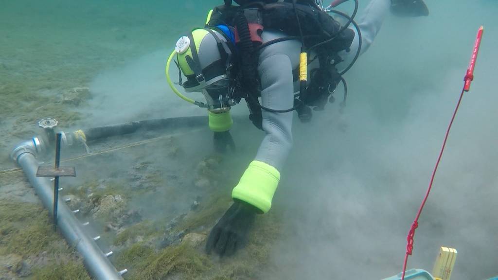  Ist die Pfahlbausiedlung im Thunersee noch zu retten?