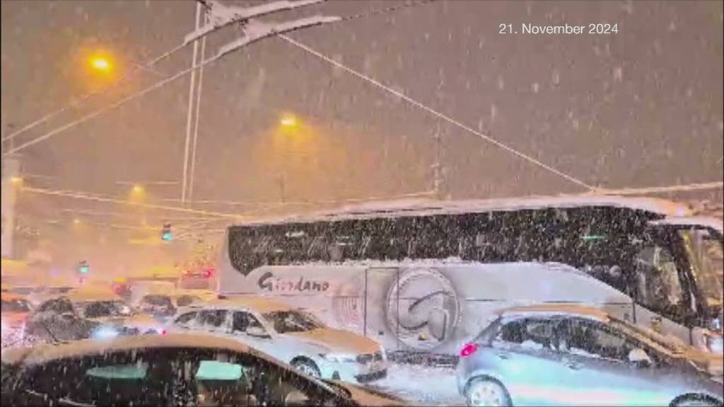 Erinnerungen an das Schneechaos 2024